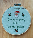 I've Seen Every Cock On The Planet - Finished Cross-Stitch